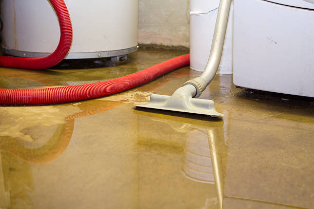  Seven Points, TX Water damage restoration Pros
