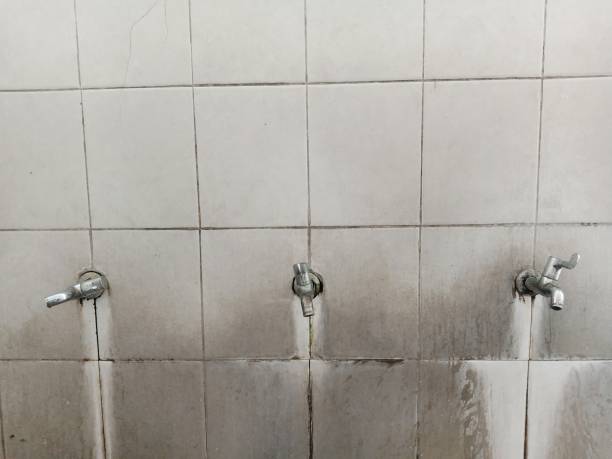 Best Flood restoration services  in Seven Points, TX
